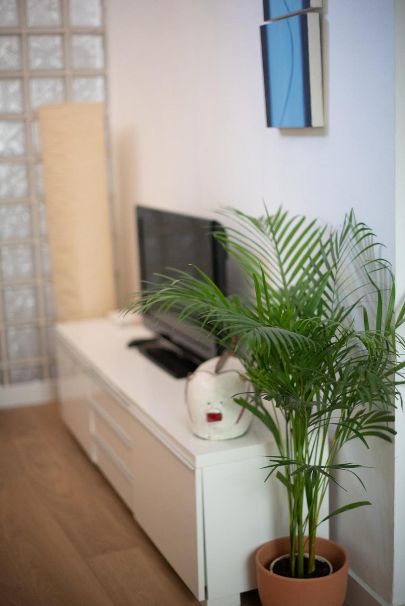 Cozy & Quiet In The Center Apartment Málaga
